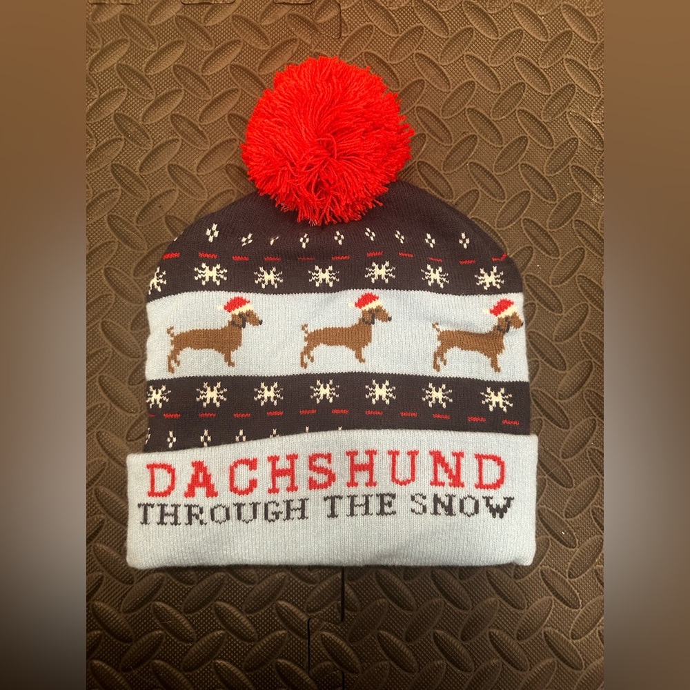 Dachshund Through The Snow Winter Beanie Cap Hat Unisex Plays Music Button